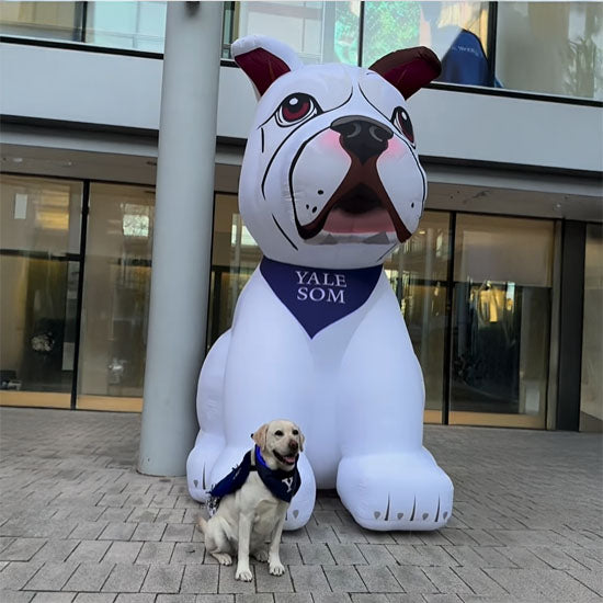 How to Keep Inflatables from Falling Over