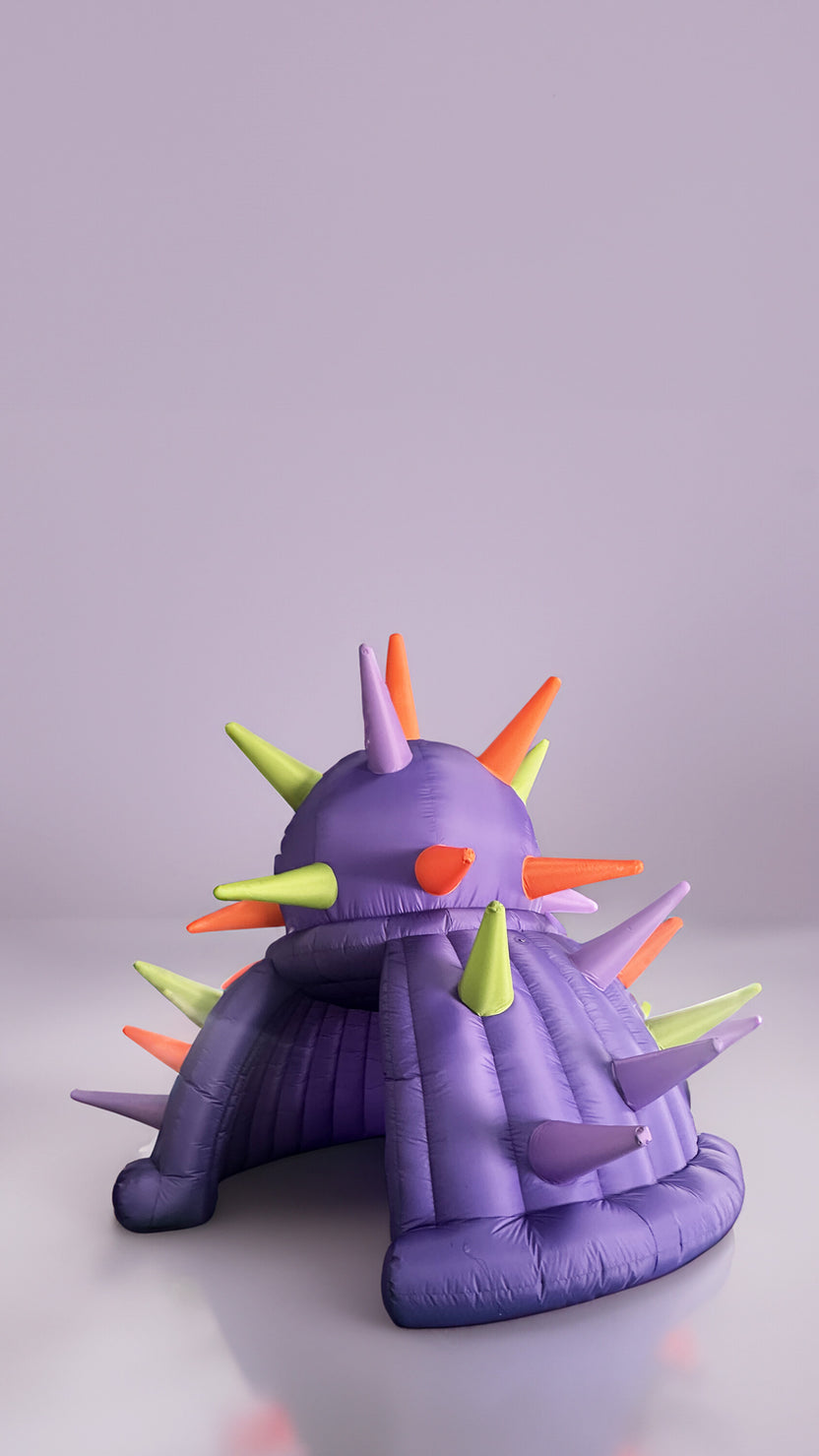 Custom Inflatables | Premium Inflatable Store in The USA